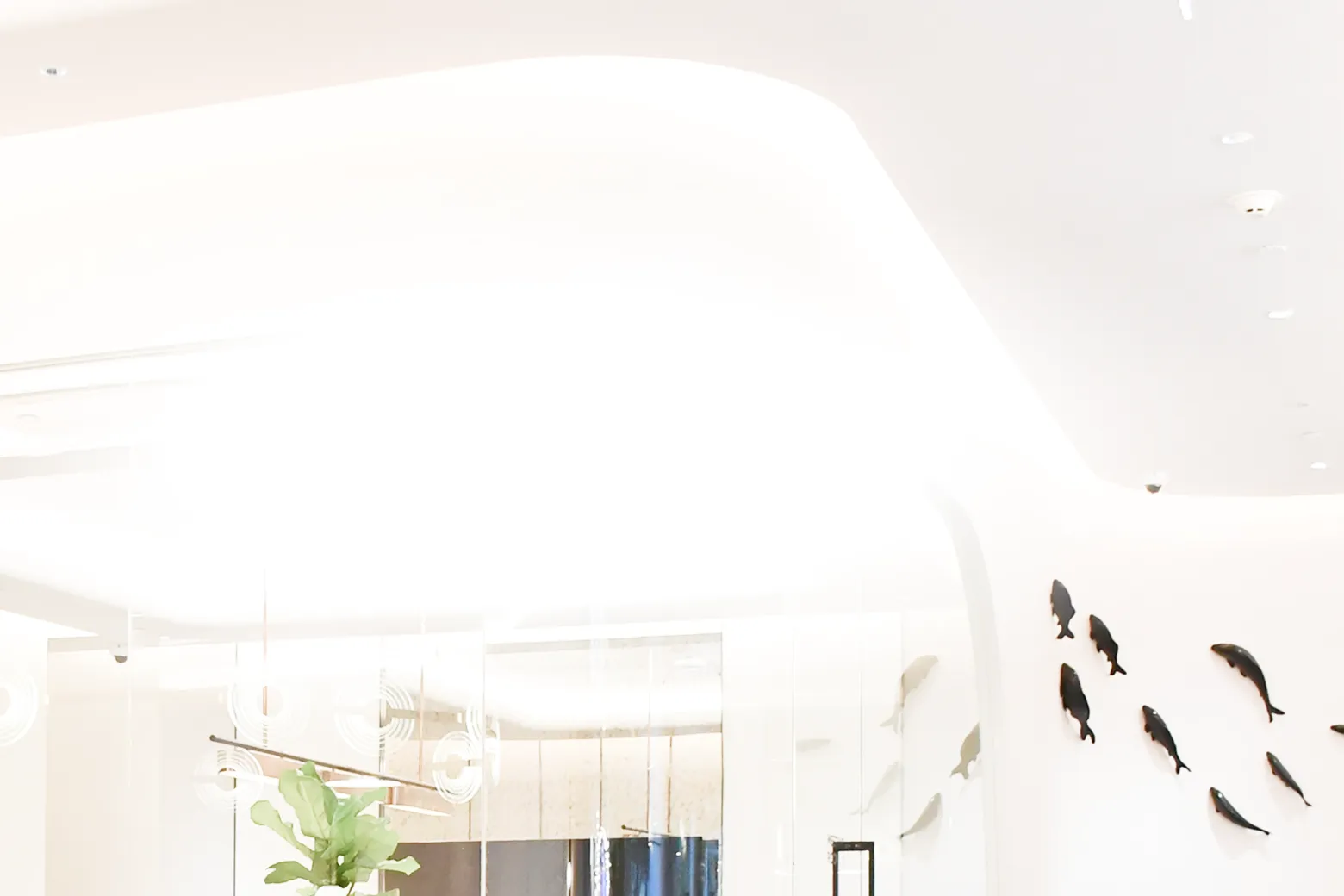 ktc-touch-banner-mobile