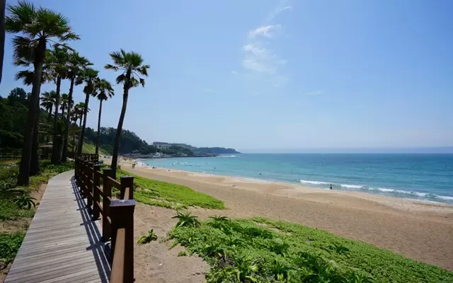 เที่ยวเกาะเชจู