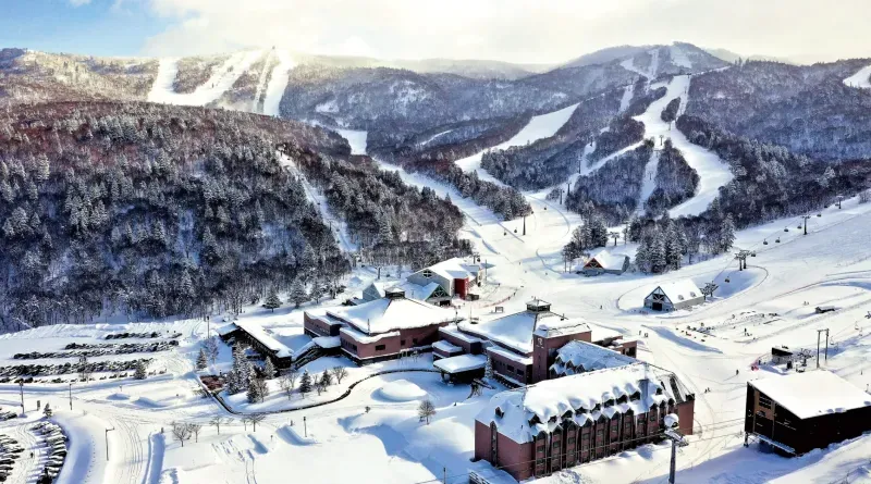 สกีรีสอร์ท ฮอกไกโด 