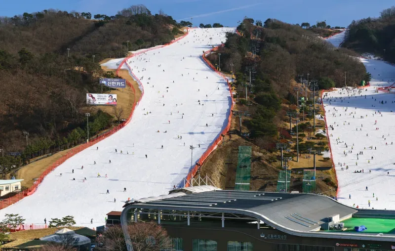 Daemyung Vivaldi Park Ski Resort, Gangwon-do Daemyung Vivaldi Park Ski Resort, Gangwon-do