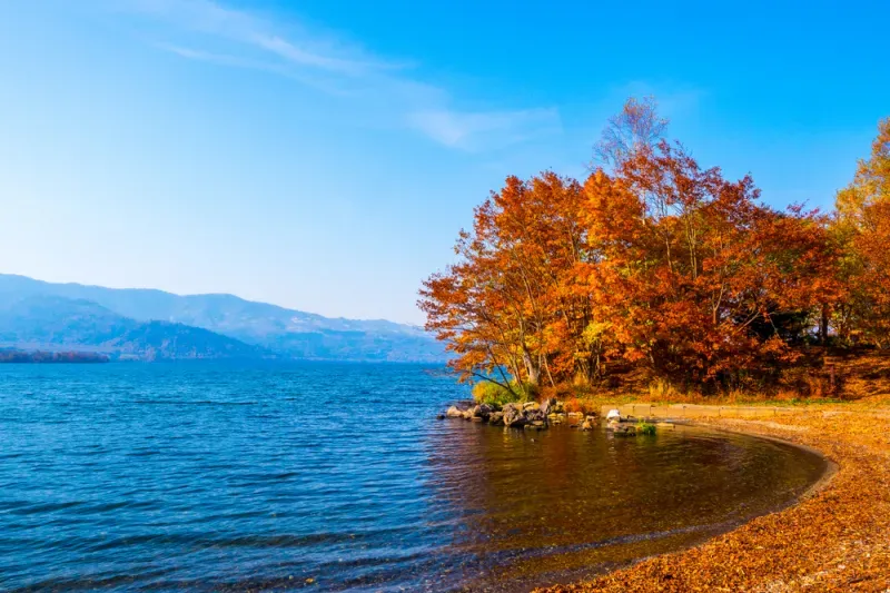 เที่ยวฮอกไกโด ใบไม้เปลี่ยนสี