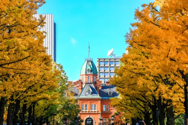 เที่ยวฮอกไกโด ใบไม้เปลี่ยนสี