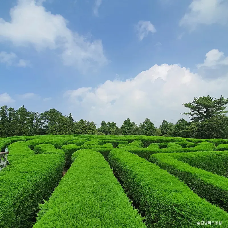 เที่ยวเกาะเชจู