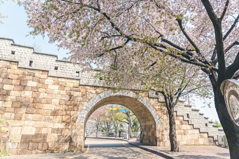 ที่เที่ยวซูวอน เกาหลี ที่เที่ยวซูวอน เกาหลี